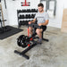 Synergee Seated Calf Raise Machine - Sweatfully