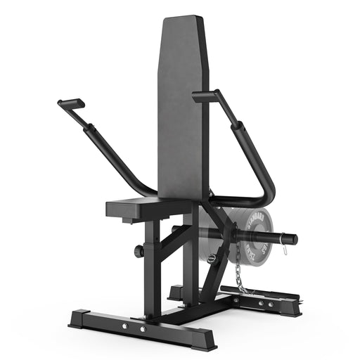 Synergee Seated Dip Machine - Sweatfully