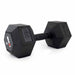 Rubber Hex Dumbbells (Pair) - Sweatfully