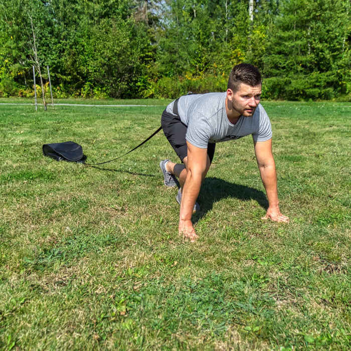 Synergee Weight Sled - Sweatfully