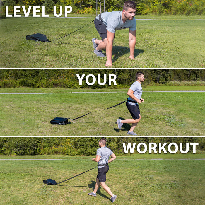 Synergee Weight Sled - Sweatfully