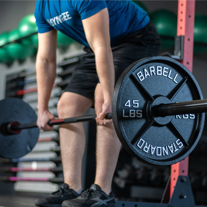 Synergee Standard Metal Weight Plates - Sweatfully
