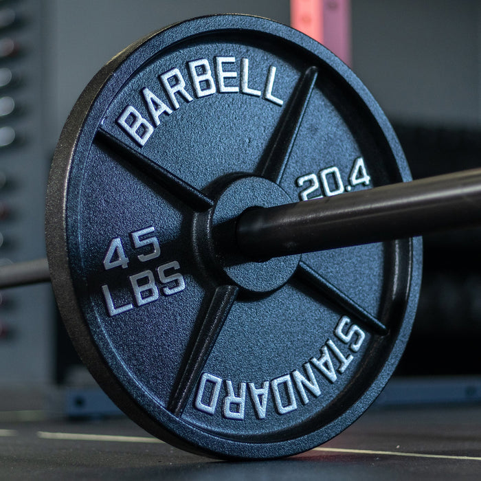 Synergee Standard Metal Weight Plates - Sweatfully