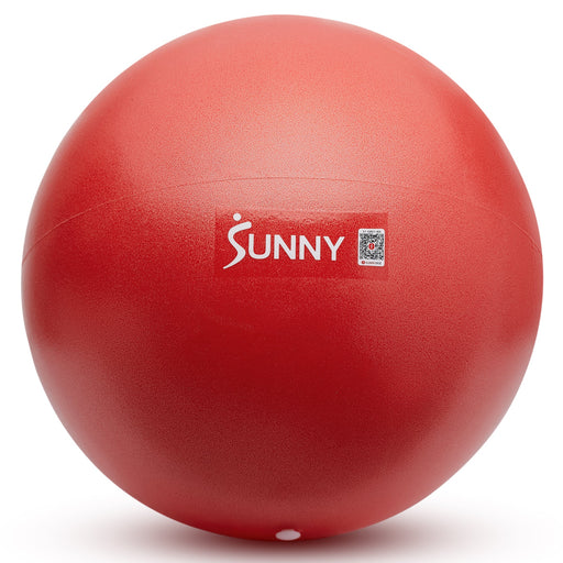 Sunny Health & Fitness Premium Pilates Ball 9” - Sweatfully