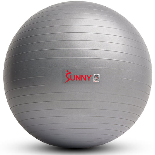 Sunny Health & Fitness Premium Yoga Ball Small 55CM - Sweatfully