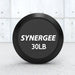 Synergee Fixed Barbell - Sweatfully