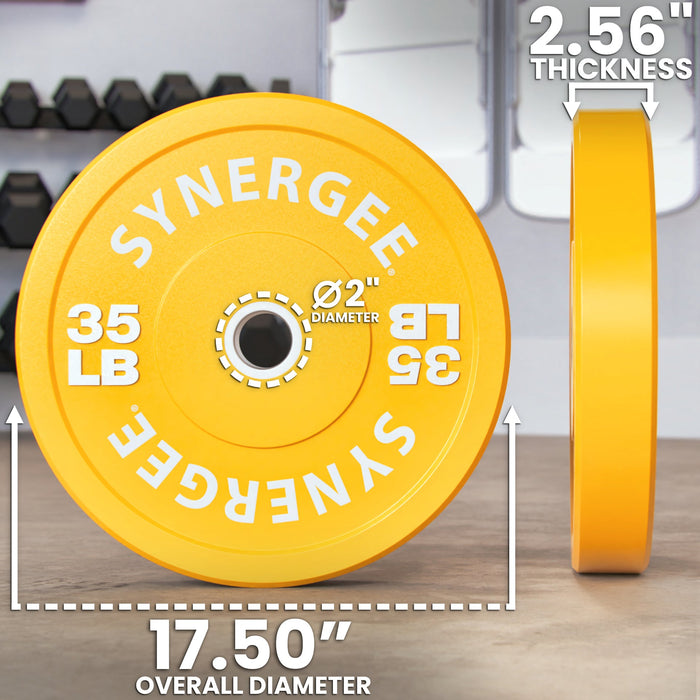 Synergee Bumper Plates - Sweatfully