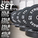 Synergee Bumper Plates - Sweatfully