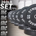 Synergee Bumper Plates - Sweatfully