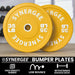 Synergee Bumper Plates - Sweatfully