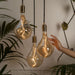 Triple Pendant in Brass + Voronoi II - Sweatfully